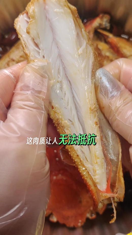 【松叶蟹】 商品图2