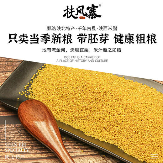 扶风寨正宗陕北米脂小米 商品图2