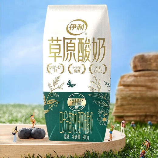 伊利草原酸奶 200g*10瓶 常温酸奶 天然菌种 传统慢发酵工艺 保留酸奶自然原生口感 独特丝滑口感 商品图2