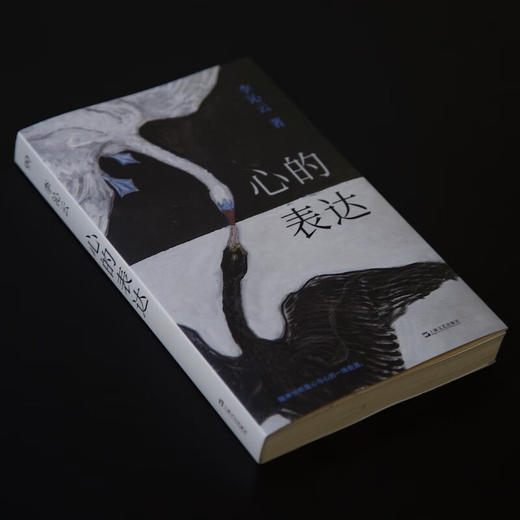 心的表达（多角度深入理解精神分析与个人生活；看到创伤，跨过创伤，回溯经历，理解自我）李沁云 著 商品图6
