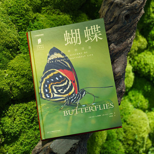 《蝴蝶：一本世界各地蝴蝶生活图鉴》普林斯顿大学生物图鉴系列 鳞翅目 自然百科科普-分销 商品图1
