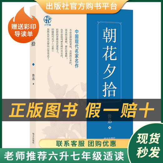 小升初套装《海底两万里》上下册《朝花夕拾》《骆驼祥子》《昆虫记》 商品图3