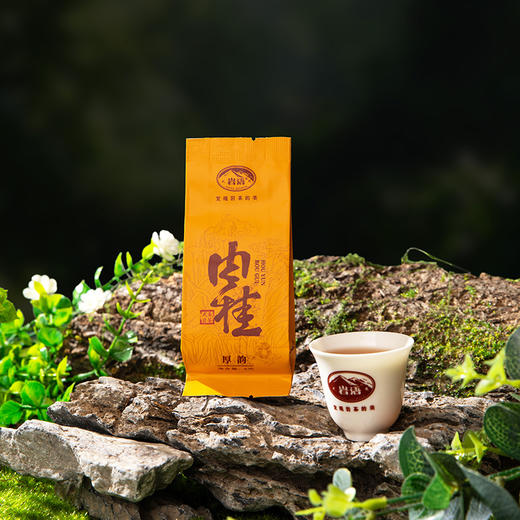 岩语 厚韵肉桂 茶叶特级武夷岩茶中火乌龙茶正宗盒装自饮口粮茶48g 商品图3