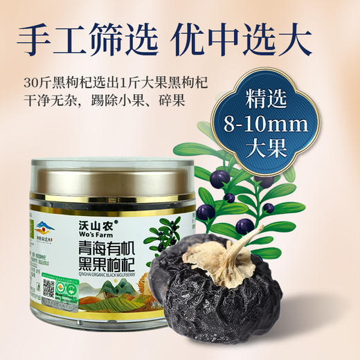 有机黑枸杞礼盒 黑枸杞轻奢礼盒120g 【60g/瓶*2瓶】包邮 商品图3