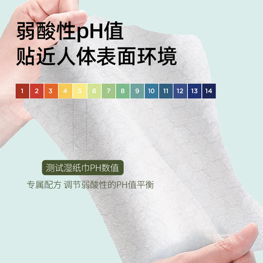若禺RoyoPanda湿厕纸洁净系列40片/包纯水亲肤不刺激可冲散1件6包RW1701 商品图4