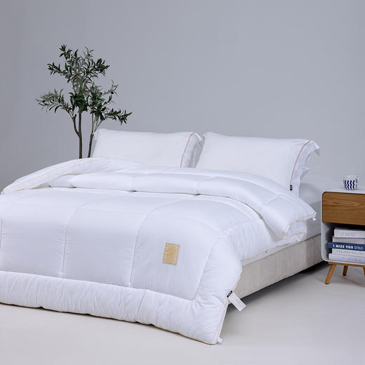 多喜爱 科特抗菌防螨十孔春秋被/加厚冬被/拉链子母被【德国进口纤维】【全棉面料】【提花工艺】【A类标准】【织带织标】加量填充 整张绵工艺 商品图9