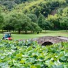 绍兴会稽山高尔夫俱乐部 Shaoxing Kuaijishan Golf Club | 嘉兴高尔夫球场 | 浙江高尔夫球场  |  中国 商品缩略图3