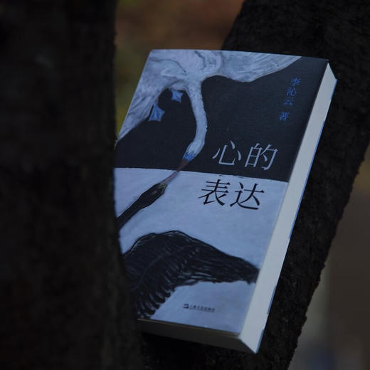 心的表达（多角度深入理解精神分析与个人生活；看到创伤，跨过创伤，回溯经历，理解自我）李沁云 著 商品图7