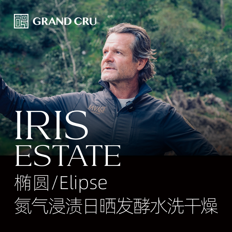 2025新产季｜伊利斯 | 椭圆/Elipse批次 | 氮气浸渍日晒发酵水洗干燥瑰夏