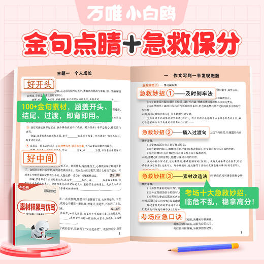 小白鸥2026小升初高分作文 万唯满分范文大全 三四五六年级同步训练 常考素材好词好句好段精选 商品图3