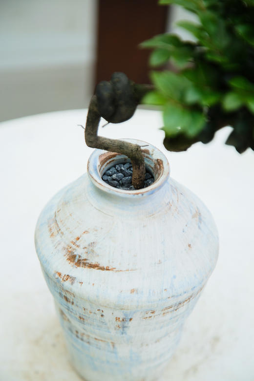 提根紫檀 商品图1