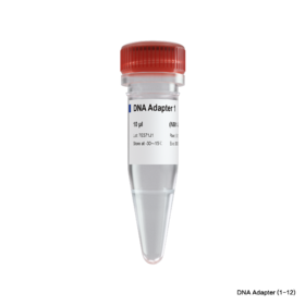 VAHTS DNA Adapters Set1 for Illumina