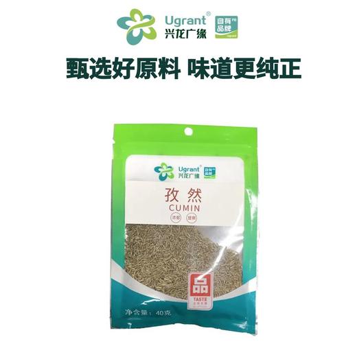 兴龙广缘40g孜然粒 商品图0