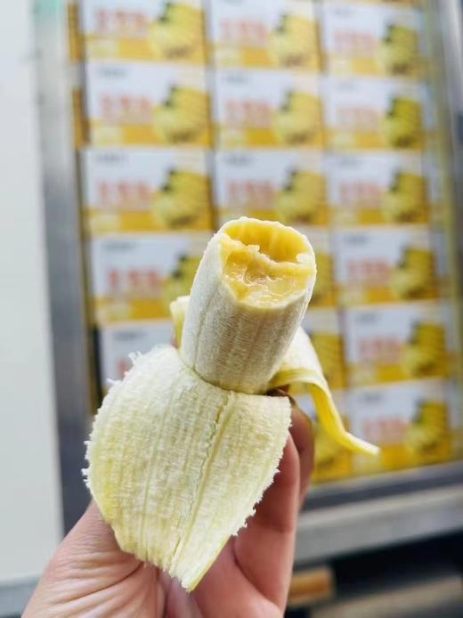 周三取货：【馋猫君皇帝蕉】一箱毛重5斤左右，论颜值和口感并存的一款香蕉！ 商品图1