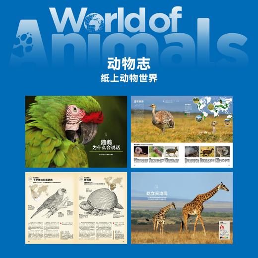 读库《动物志》套装 动物科普 青少年读物-分销 商品图3