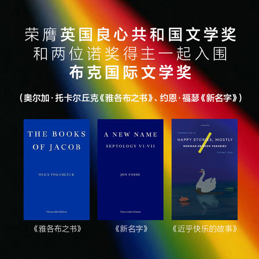 近乎快乐的故事 酷儿故事集  诺曼·埃里克森·帕萨里布 中文版 商品图3