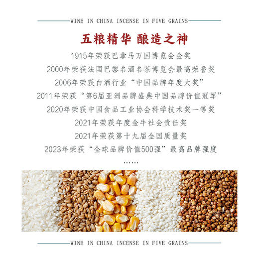 【超五粮液1618工艺】五粮液·酿神 龙凤呈祥（金坛）明初古窖泥·地穴式发酵 浓香型白酒 52%vol 商品图2