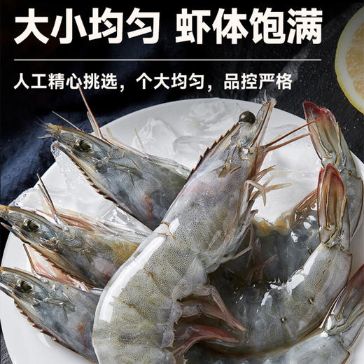 大黄鲜森 30/40湛江大虾 1500g/1500g*2 商品图3