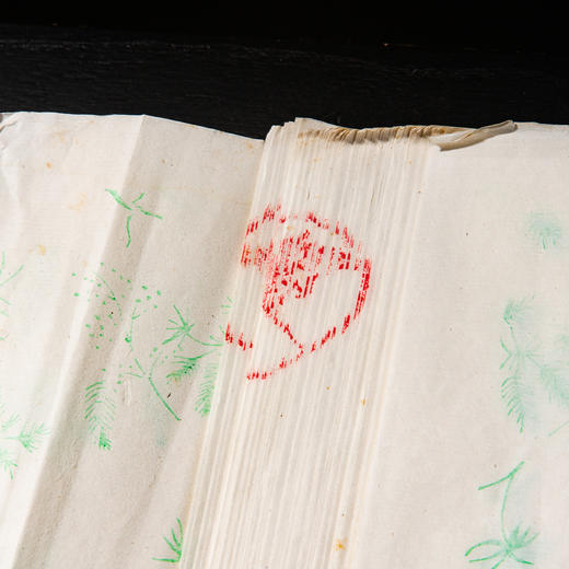 80年代天津杨柳青画店制木版水印草叶纹大画笺（单张） 商品图3