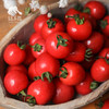 生态圣女果（福建）| 合作生产*  Ecological tomato | Partner Production 商品缩略图2
