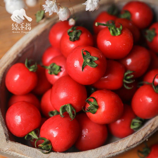 生态圣女果（福建）| 合作生产*  Ecological tomato | Partner Production 商品图2