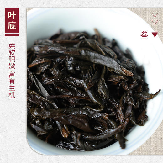 【山纯限品】2025年012遇林亭高枞水仙17g 商品图4