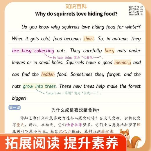 （会员）小学生英语【同步练字+同步默写+同步阅读】三四五六年级上册下册2025人教版衡水体小学英语专项训练 商品图5