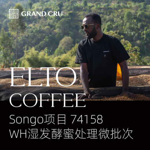 2025新产季空运微批次｜埃塞Elto咖啡 Songo项目｜WH湿发酵蜜处理 商品图0
