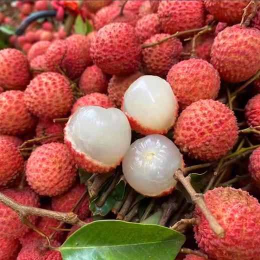 现货海南妃子笑荔枝5斤现摘3斤新鲜水果当季整箱包邮顺丰 商品图0