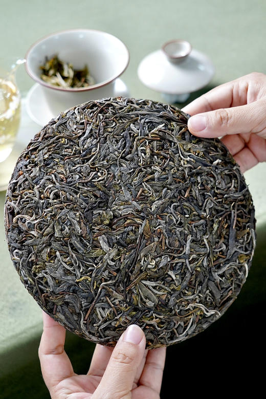 2025【曼岗岩韵】岩石缝里钻出来古树茶 商品图4