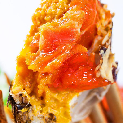 蟹园阳澄湖大闸蟹礼券1388型（公蟹4.0两4只，母蟹3.0两4只） 商品图5