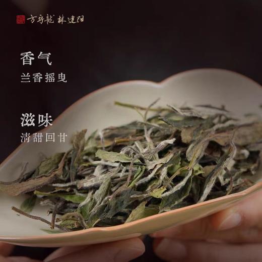 方守龙 2024年二级白牡丹75g太姥山福鼎白茶[官方旗舰店正品直供] 商品图1