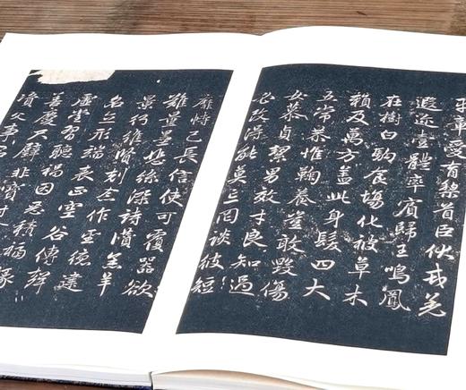 钜惠：《乐善堂法帖》，8开，两册，绸面经折装，元 赵孟頫著，北京联合出版公司2016年一版一印，定价2200元，售价558元。 商品图7