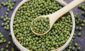 食材挑选大全之——绿豆