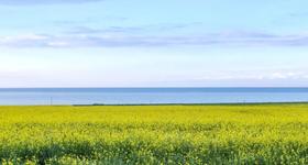 队员游记 | 环青海湖骑行，写封信给第20000天的自己 