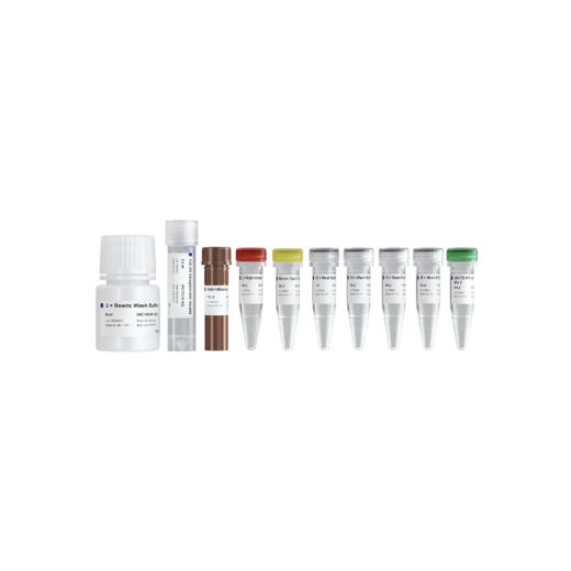 VAHTS Target Capture Hybridization and Wash Kit 商品图0