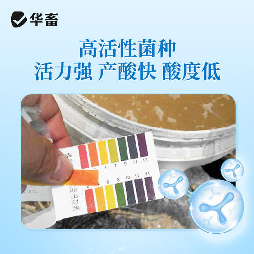 华畜 乳酸菌原种 1000亿高含量 专利菌种 商品图3
