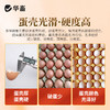 华畜 石头蛋 蛋多蛋大硬度高品质好 商品缩略图3
