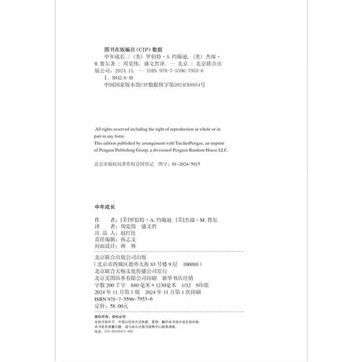 中年成长：突破人生瓶颈的心理自助方案（美）罗伯特·A·约翰逊 、杰瑞·M·鲁尔 著 商品图6