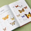 《蝴蝶：一本世界各地蝴蝶生活图鉴》普林斯顿大学生物图鉴系列 鳞翅目 自然百科科普-分销 商品缩略图3