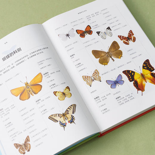 《蝴蝶：一本世界各地蝴蝶生活图鉴》普林斯顿大学生物图鉴系列 鳞翅目 自然百科科普-分销 商品图3