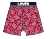 LEVIS男内裤876200022 商品图0