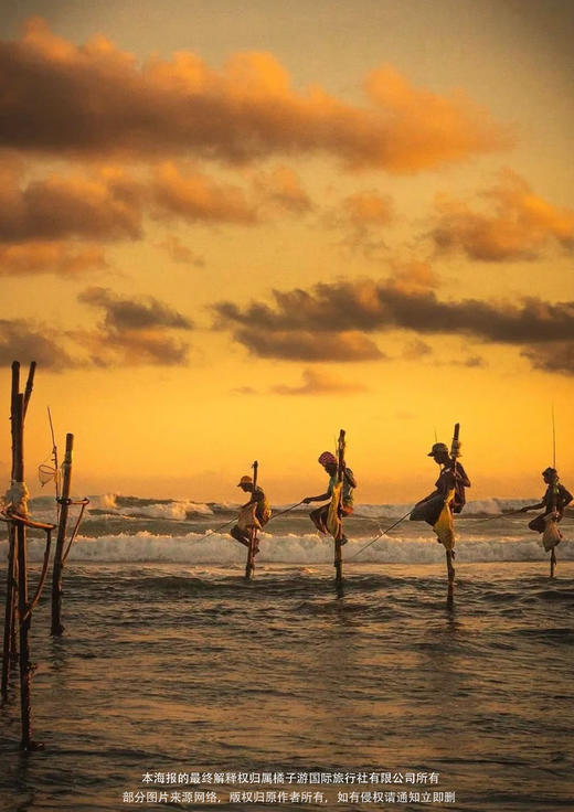 【斯里兰卡】7天5晚（畅享之旅） 商品图1