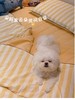 【花粉团购】 韩国夏日条纹夏凉被+床垫+枕套四件套 商品缩略图3