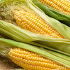 新鲜水果玉米当季金银水果甜玉米棒子现摘糯苞谷蔬菜包邮 商品缩略图1