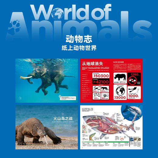 读库《动物志》套装 动物科普 青少年读物-分销 商品图1