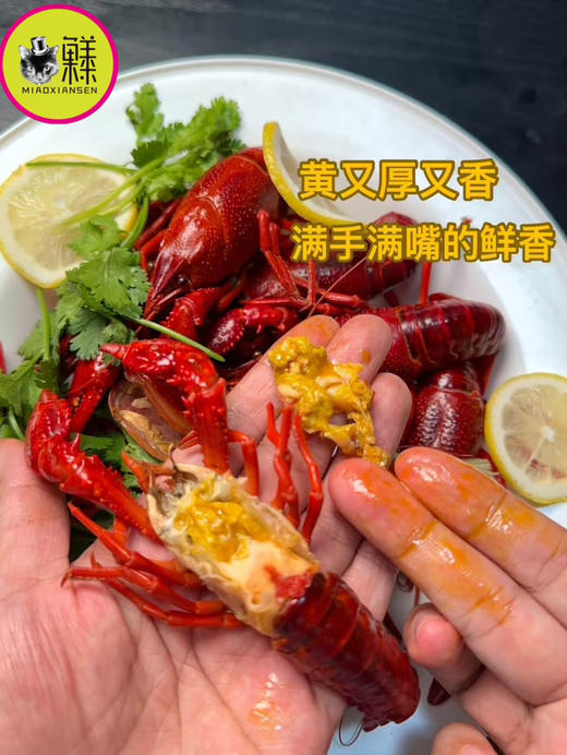 产地直发💝阳澄湖清水炮头小龙虾🦞30只装（顺丰包邮） 商品图5