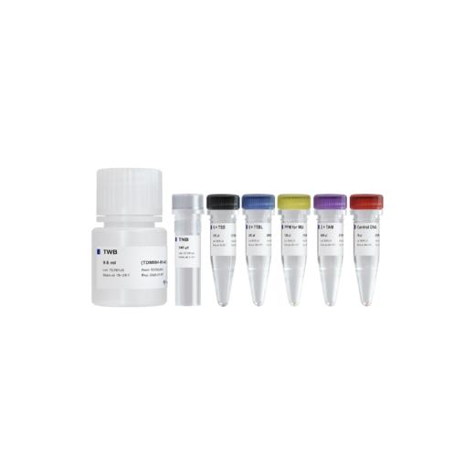 TruePrep Flexible DNA Library Prep Kit for MGI 商品图0