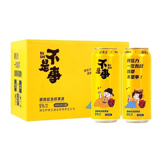 庐陵王起泡黄酒5度微醺低度数黄酒  480ml/瓶 商品图2