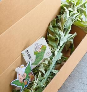 拾间公益项目端午扶贫-蕲春艾草 端午艾草